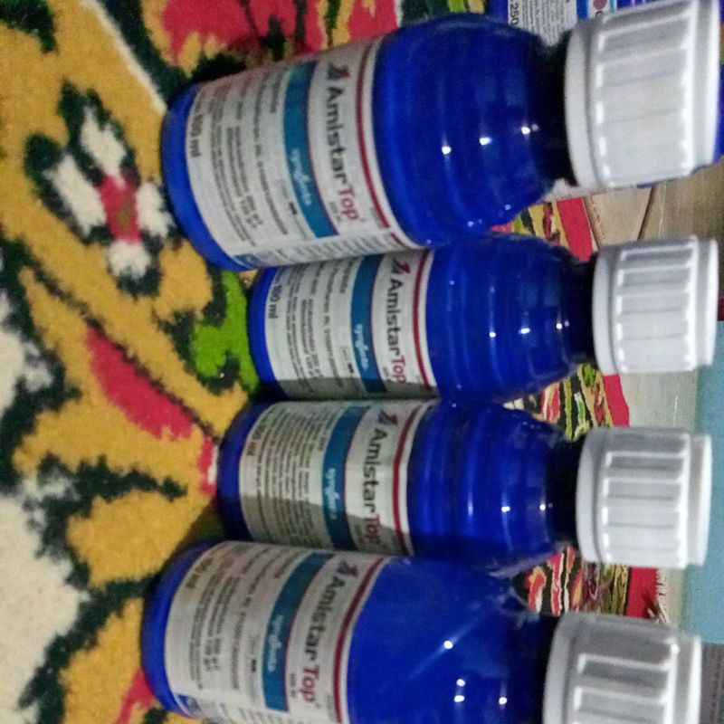 Jual Amistar Top 325 SC 100 Ml Fungisida Syngenta Amistartop Shopee