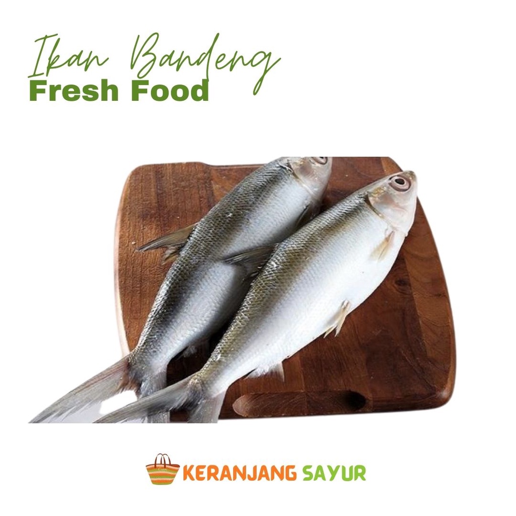 Jual Ikan Bandeng Segar Gram Ekor Shopee Indonesia