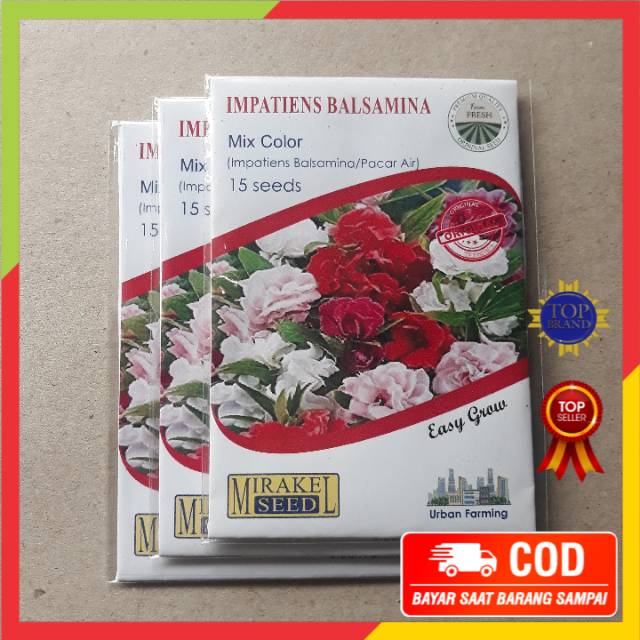 Jual Benih Biji Bunga Pacar Air Mix Color Impatiens Balsamina Tanaman