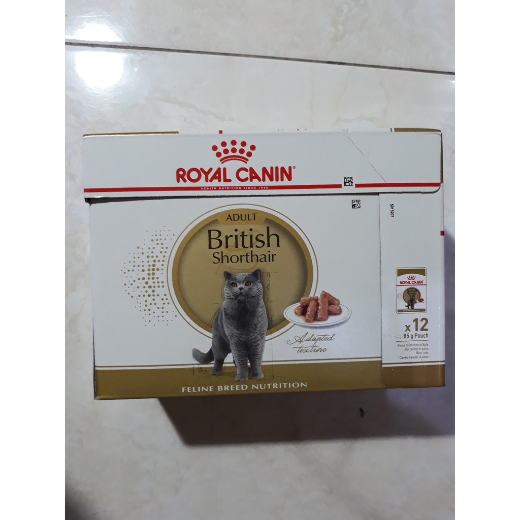 Jual Royal Canin Pouch Sachet British Shorthair Gr Bh Dus Rc