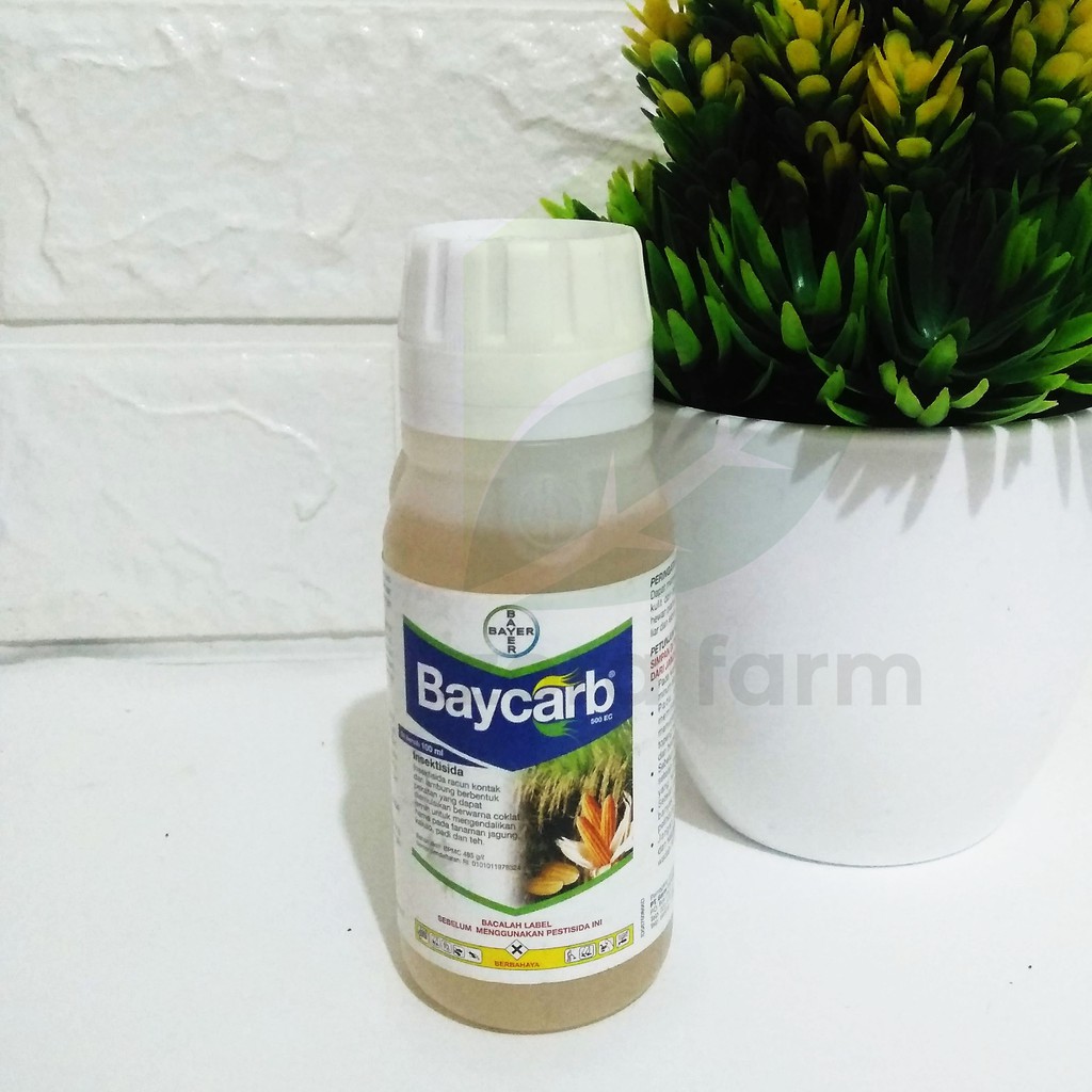 Jual Insektisida BAYCARB 500EC Ampuh Pengendali Hama Isi 100ML Shopee