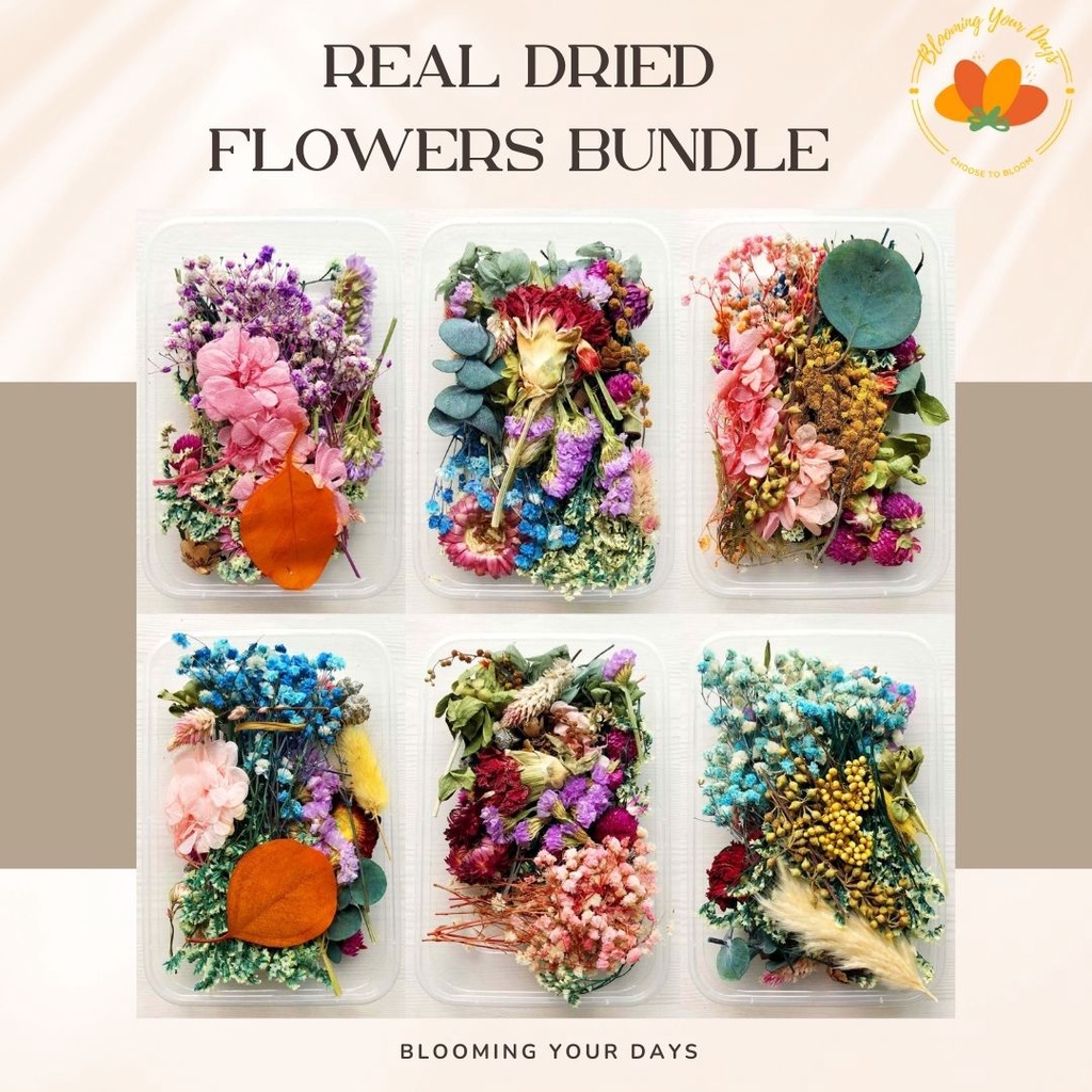 Jual Bloomingyourdays Bunga Kering Asli Box Real Dry Flowers Untuk