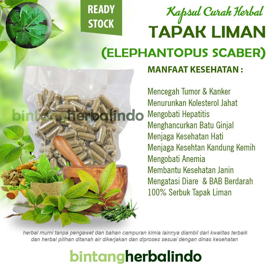 Jual Tapak Liman Kapsul Curah Herbal X Mg Batu Ginjal Kolesterol