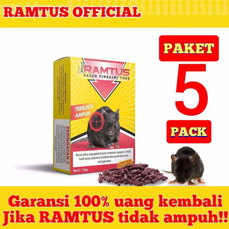 Jual Racun Tikus Paling Ampuh Mati Kering Ramtus Perangkap Jebakan