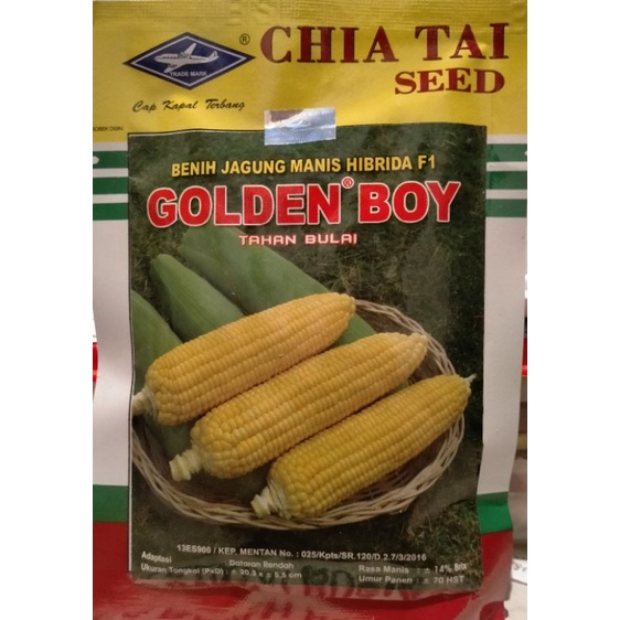 Jual Benih Jagung Manis F1 Golden Boy 50 Gram Shopee Indonesia