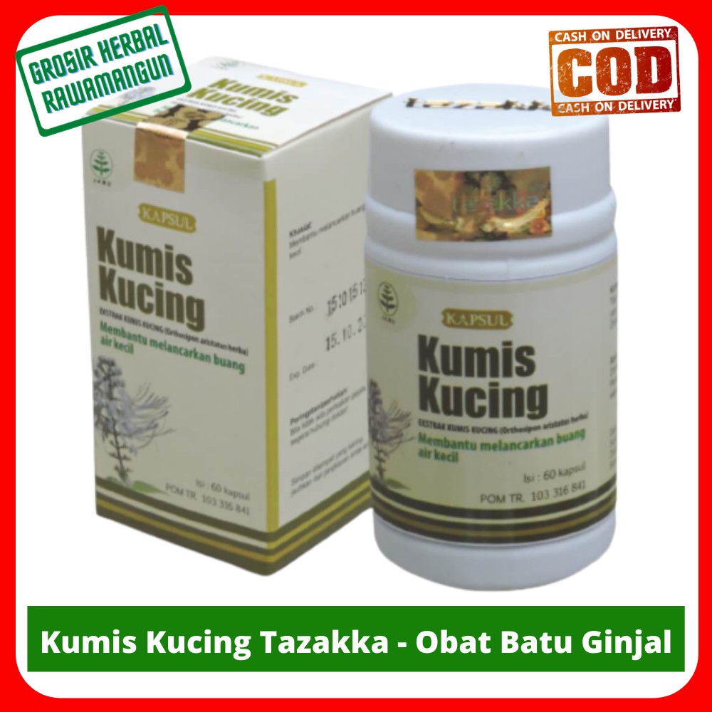 Jual Daun Kumis Kucing Herbal Tazakka 60 Kapsul Obat Infeksi Saluran