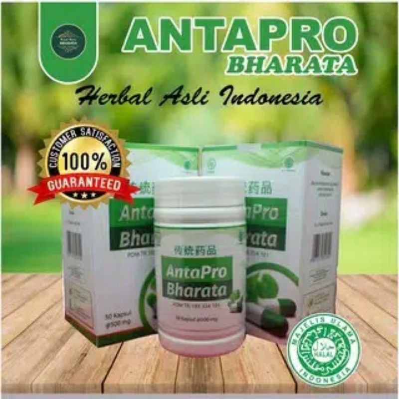 Jual Antapro Bharata Anta Pro Obat Stroke Ringan Berat Obat