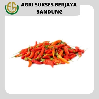 Jual Cabe Rawit Merah Cengek Domba Gram Shopee Indonesia