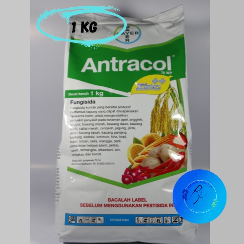 Jual Fungisida Antracol Wp Kg Shopee Indonesia