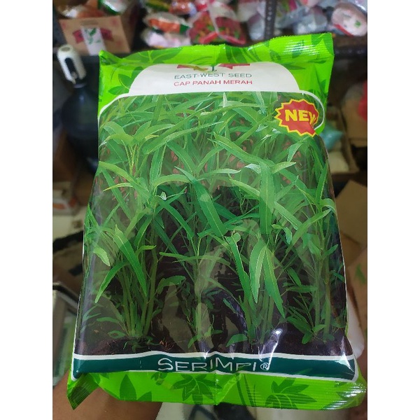 Jual Benih Kangkung Daun Sempit Serimpi Kg Indonesia Shopee Indonesia