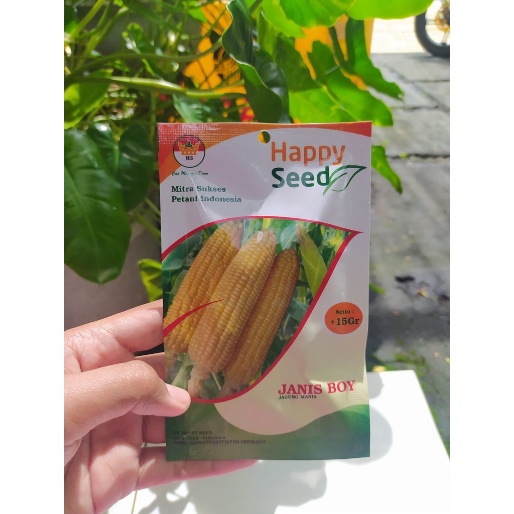 Jual Benih Jagung Manis Janis Boy 15 Gram Shopee Indonesia