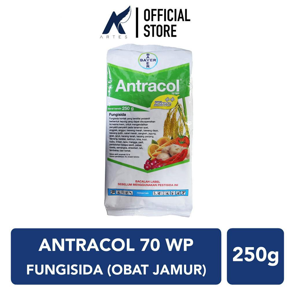 Jual ANTRACOL 70 WP ZINC BAYER Fungisida Obat Anti Penyakit Jamur