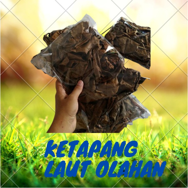 Jual Daun Ketapang Laut Olahan Hitam Kualitas Super Shopee Indonesia