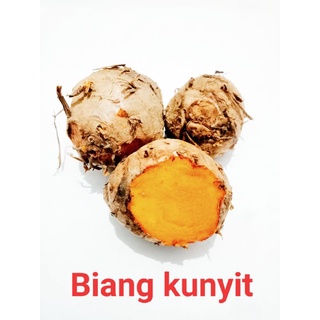 Jual Biang Kunyit Segar 1kg Shopee Indonesia