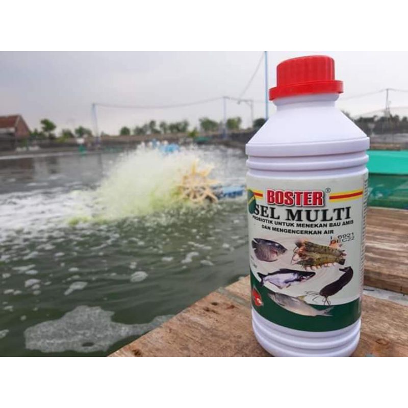 Jual Boster Probiotik Sel Multi 1liter Shopee Indonesia