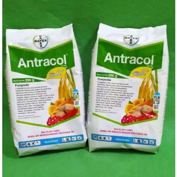 Jual Fungisida Antracol Wp Zinc Gr Gr Kemasan Pabrik Shopee