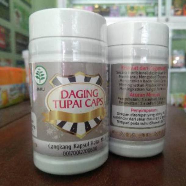 Jual Kapsul Daging Tupai Obat Herbal Gula Basah Kering Kencing Manis