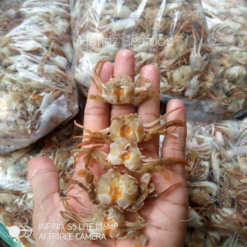 Jual Baby Crab Capit Dan Tanpa Capit Shopee Indonesia