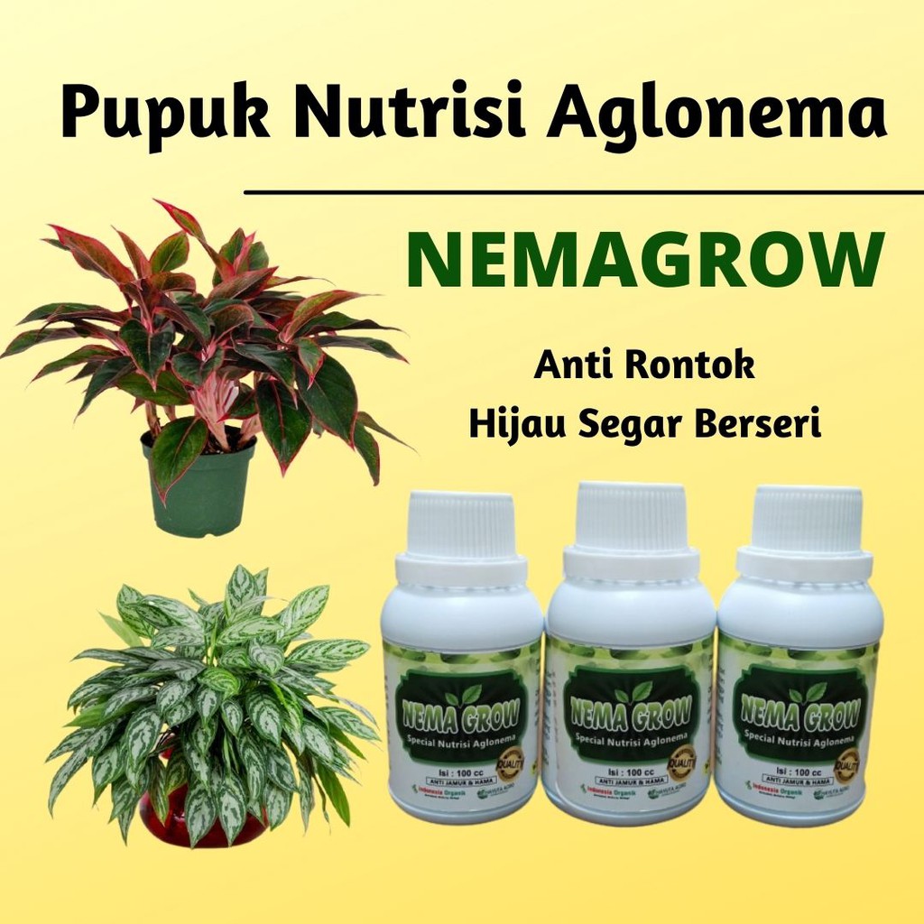 Jual Pupuk Daun Aglonema Pupuk NEMAGROW Bunga Aglaonema Pupuk Tanaman