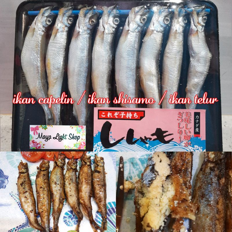 Jual Ikan Capelin Shisamo Fish Ikan Telur Halal Egg Fish Roe Omega