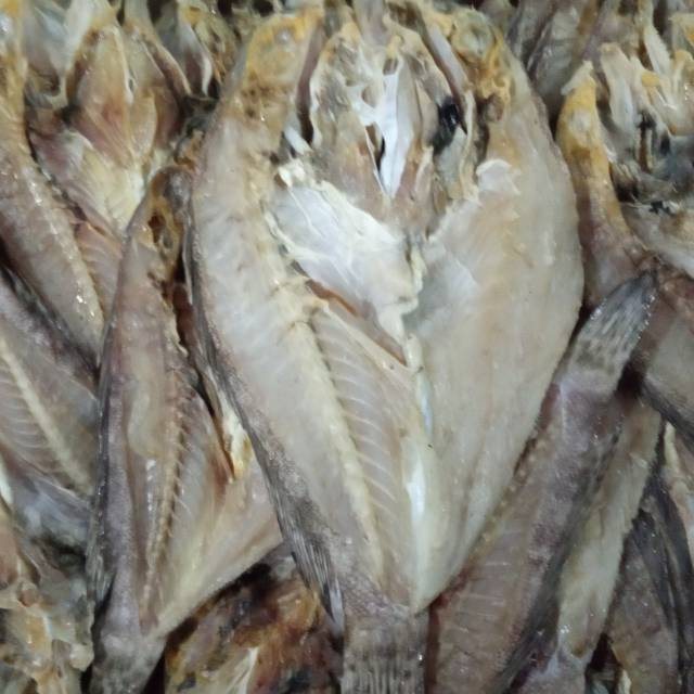 Jual Ikan Asin Kerapu Shopee Indonesia