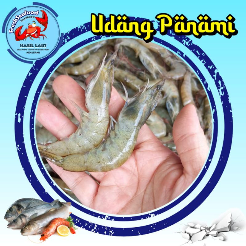 Jual Udang Panami Jumbo Segar Kg Shopee Indonesia