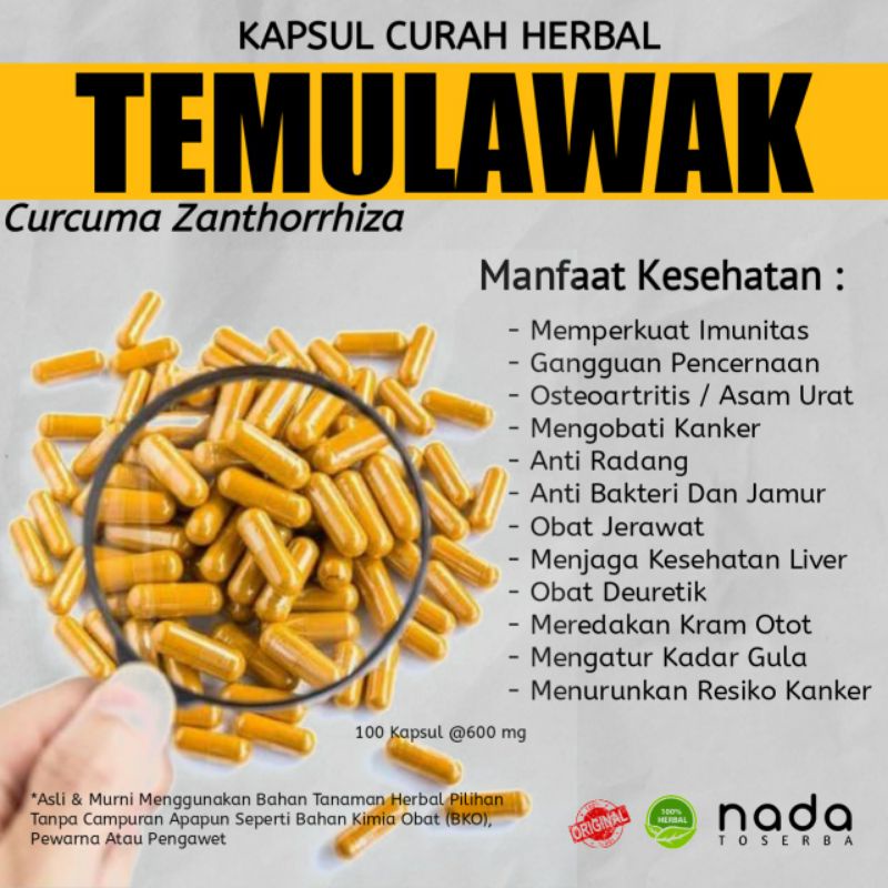 Jual Kapsul TEMULAWAK 100 Kapsul Herbal Curah Herbal Pencernaan