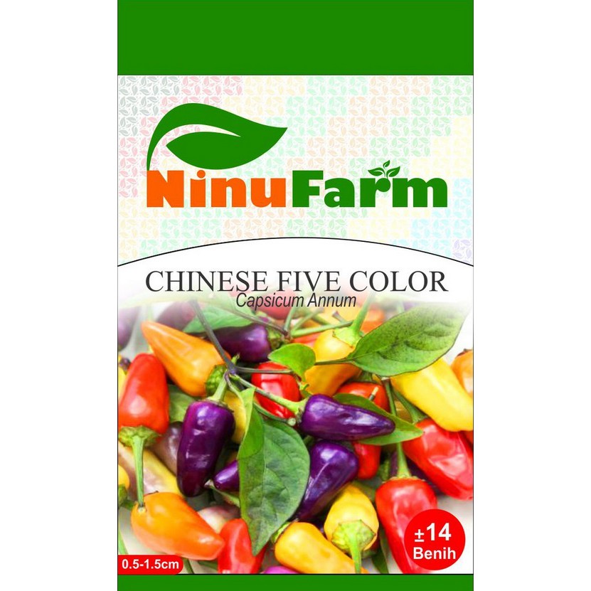 Jual Benih Bibit Cabe Pelangi Chinese Five Color Ninufarm 14 Butir