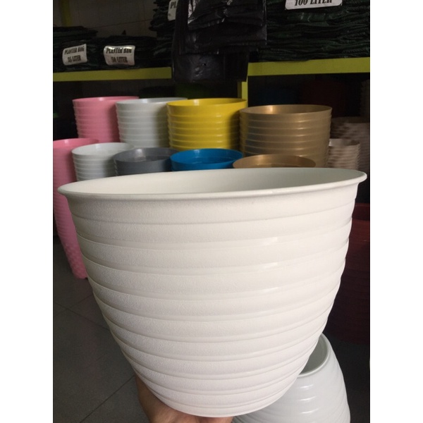 Jual Pot Tanaman Bunga Tawon Ori Putih Bjp Shopee Indonesia