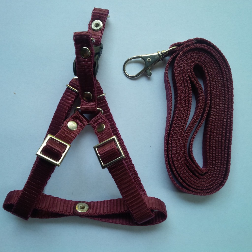 Jual Harness Y Leash Kucing Musang Kelinci Puppy Small Breed