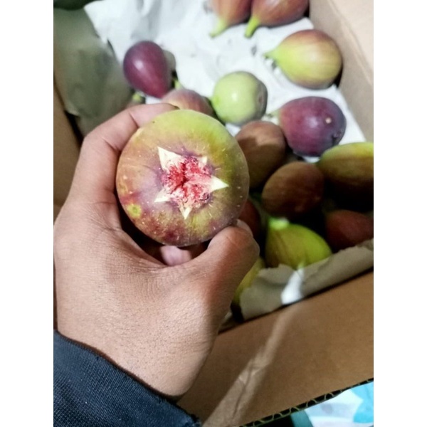 Jual Buah Tin Buah Surga Kg Shopee Indonesia