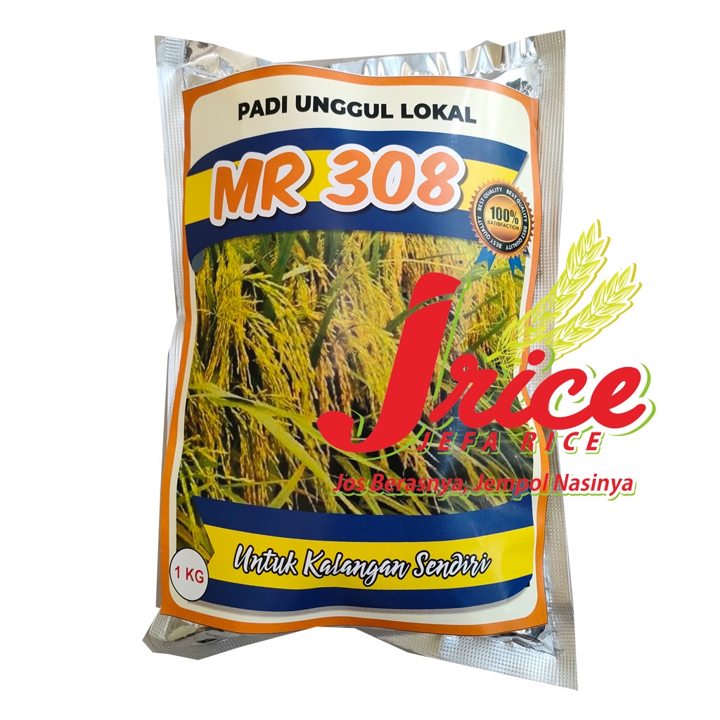 Jual BENIH PADI MR 308 BIBIT PADI UNGGUL MR308 KEMASAN 1KG Indonesia