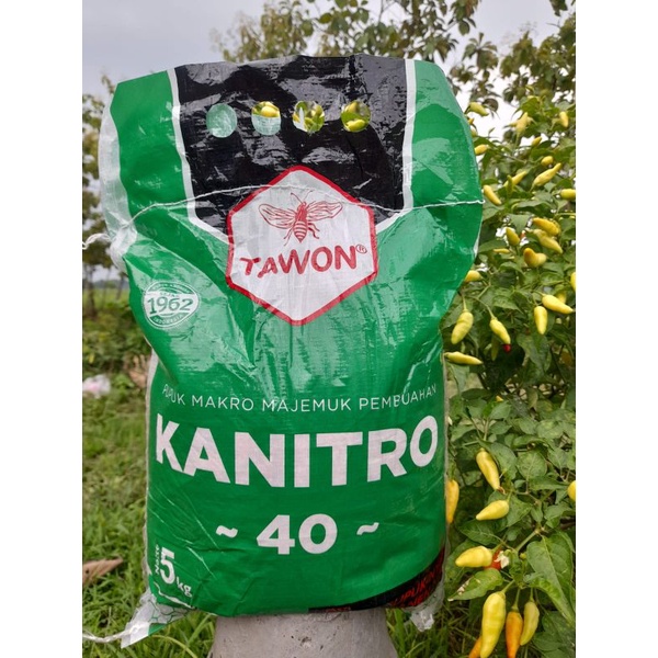 Jual Pupuk Makro Majemuk Pembuahan Kanitro Cap Tawon Kalium Nitrogen