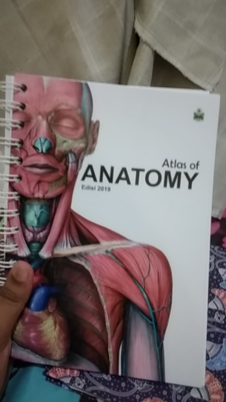 Medical Mini Notes Mmn Mini Atlas Of Anatomy Anatomi Buku Saku