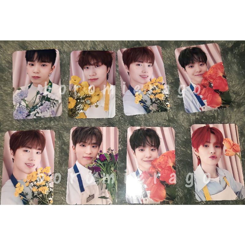 Jual Treasure Rpc Blooming Yoshi Haruto Junkyu Asahi Jihoon Jeongwoo