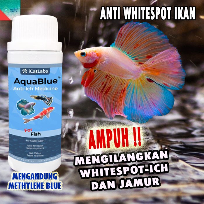 Jual Obat Biru Ikan Cupang Obat Cupang Jamur Cupang Soliter Ikan Cupang