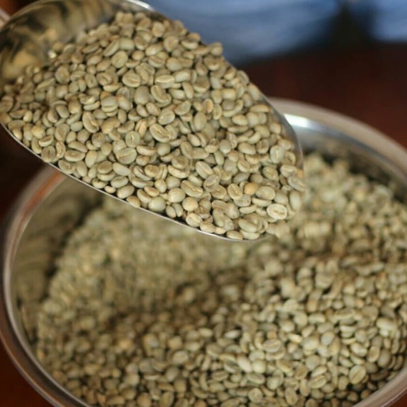 Jual Biji Green Bean Kopi Arabika Aceh Gayo Pantan Cuaca Gr