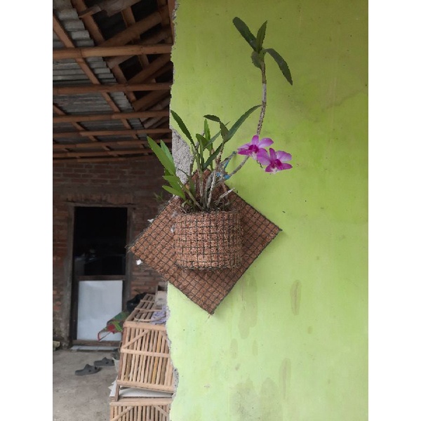 Jual Pot Ketupat Tempel Dinding Pot Hiasan Rumah Pot Setengah Lingkaran