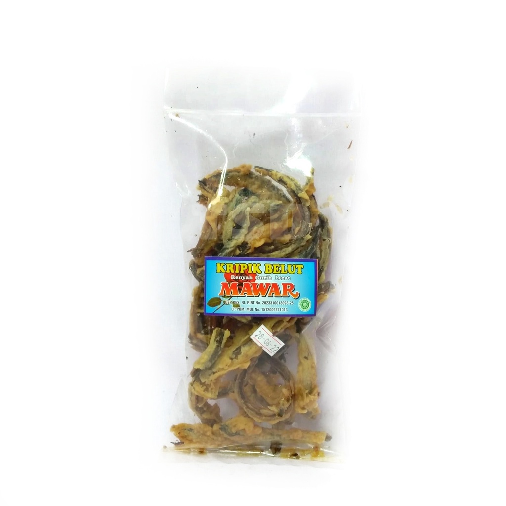 Jual Keripik Belut Gr Asli Gurih Enak Premium Ikan Belut Shopee