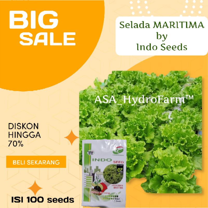 Jual Asa Hydrofarm Benih Bibit Selada Hijau Maritima Import Kemasan