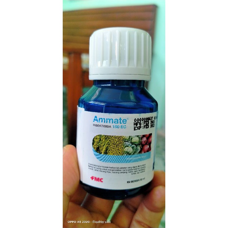 Jual Ammate Ec Ml Insektisida Shopee Indonesia