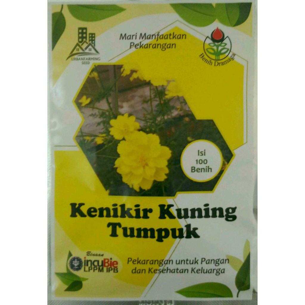 Jual Benih Kenikir Bunga Kuning Tumpuk Shopee Indonesia