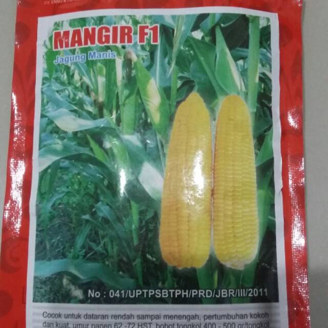 Jual Benih Jagung Manis MANGIR FI Bibit Jagung Manis Biji Jagung