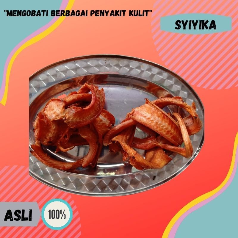 Jual Daging Ular Cobra Kobra Goreng Bu Aminah Obat Tradisional Herbal