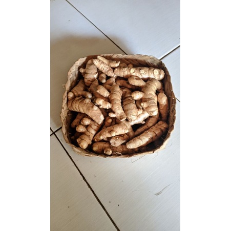 Jual Temu Putih Kunyit Putih 1 Kg Shopee Indonesia