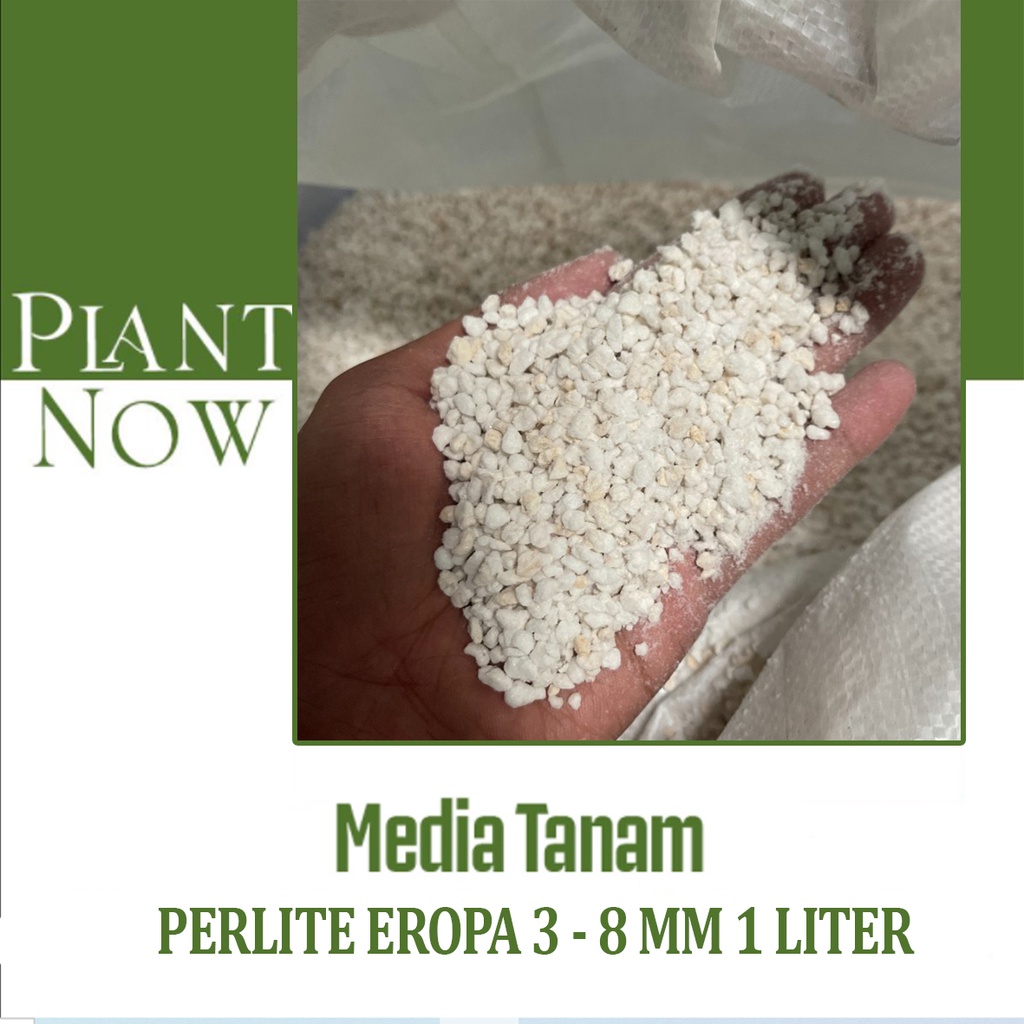 Jual Media Tanam PERLITE 3 8mm 1 Liter Shopee Indonesia