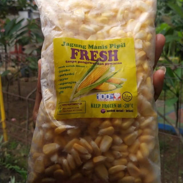 Jual Jagung Pipil Shopee Indonesia