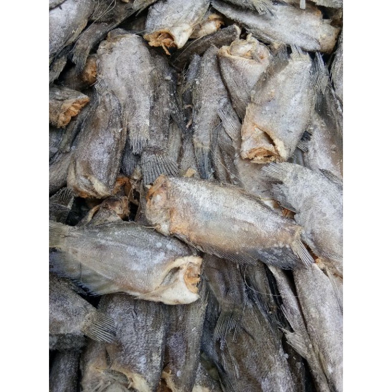 Jual Jual Ikan Asin Sepat Kualitas Terbaik Shopee Indonesia