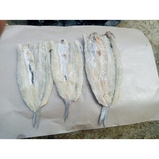 Jual Ikan Asin Gabus Laut Bloso Kering Gram Shopee Indonesia