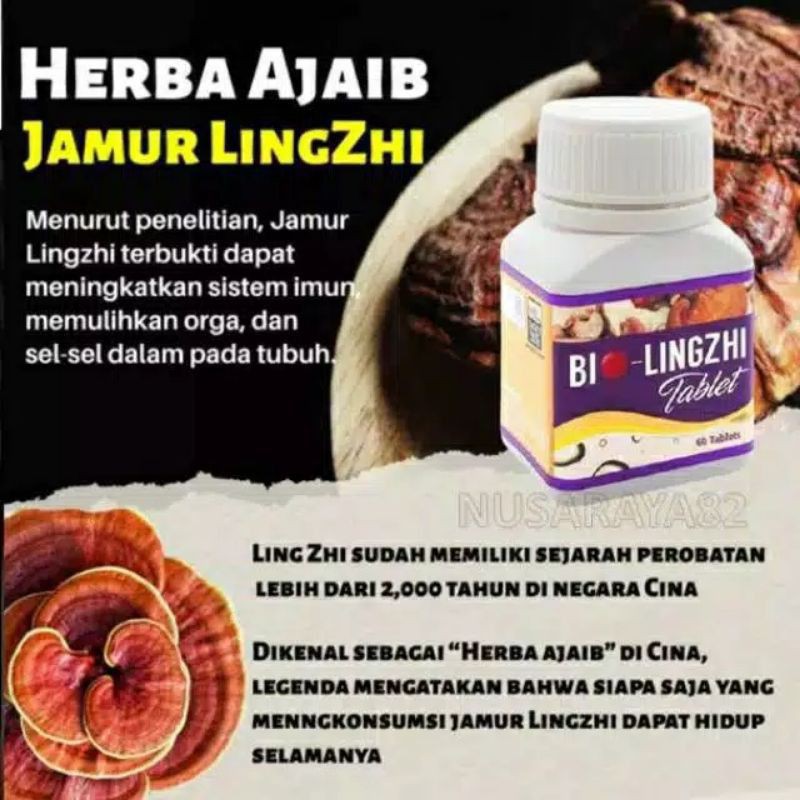 Jual Herbal Bio Lingzhi Obat Ginjal Asli Biolingzhi Tablet Bio Lingzi